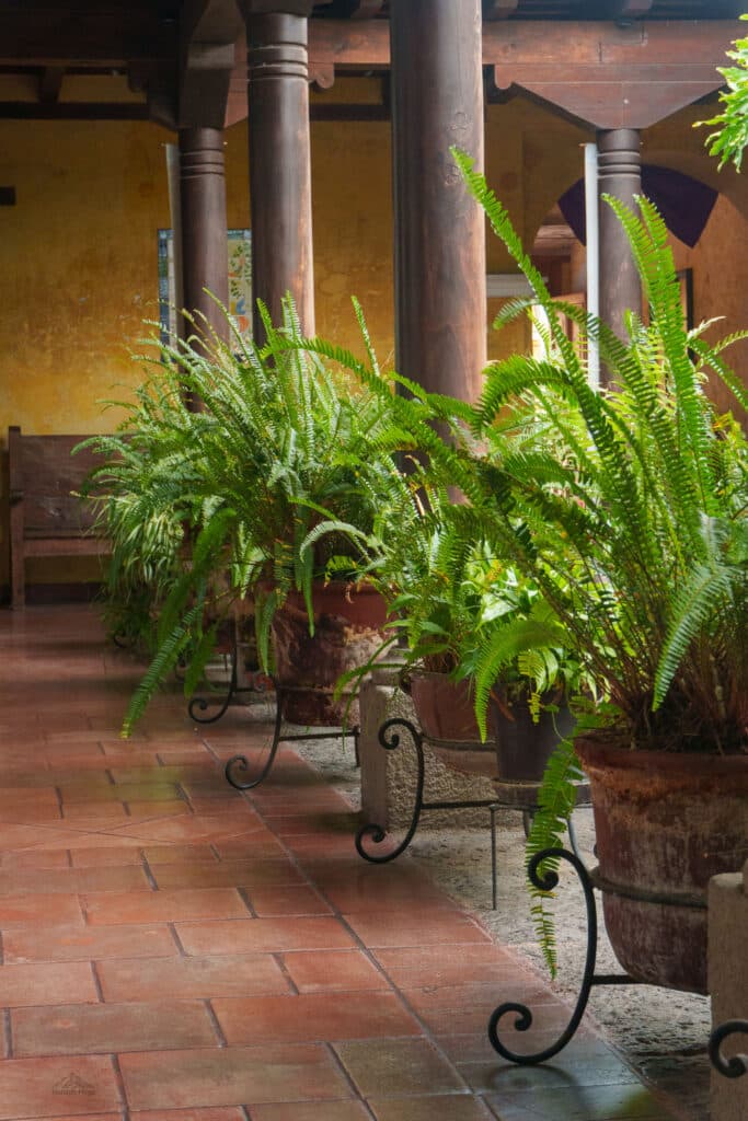 Patio of a house in Antigua, Guatemala.