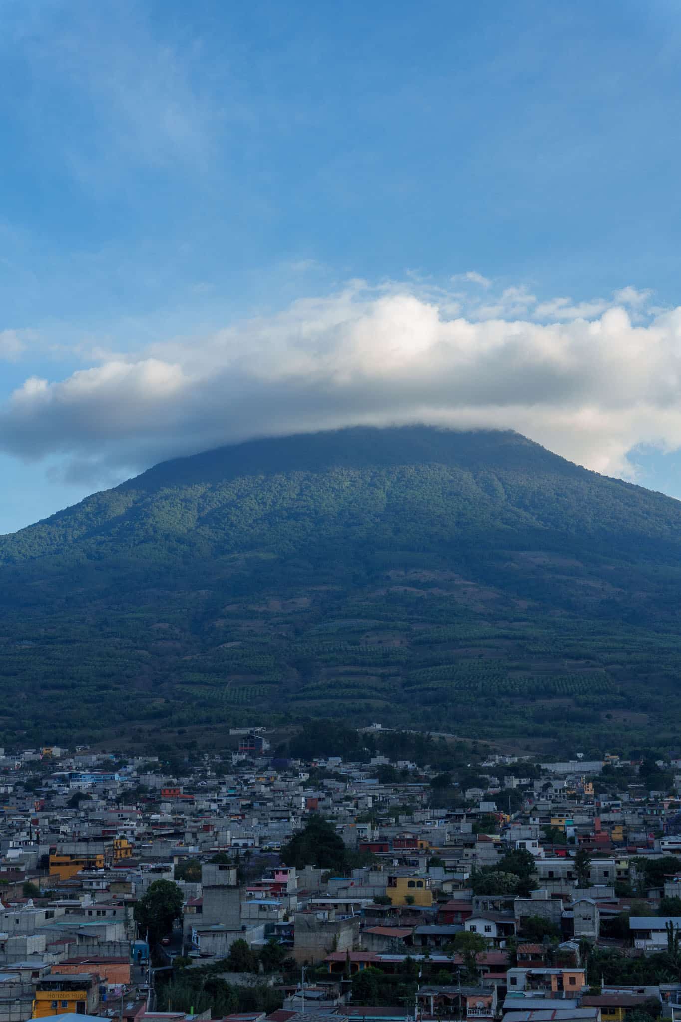 HorizonHugo Antigua Post 20