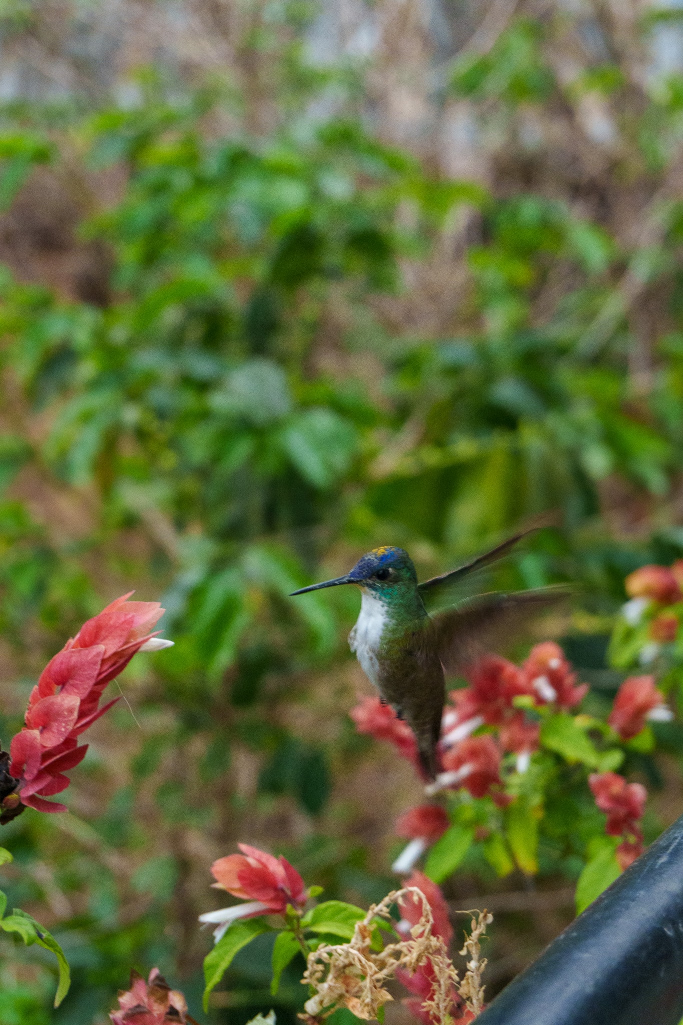 HorizonHugo Guatemala Atitlan 110