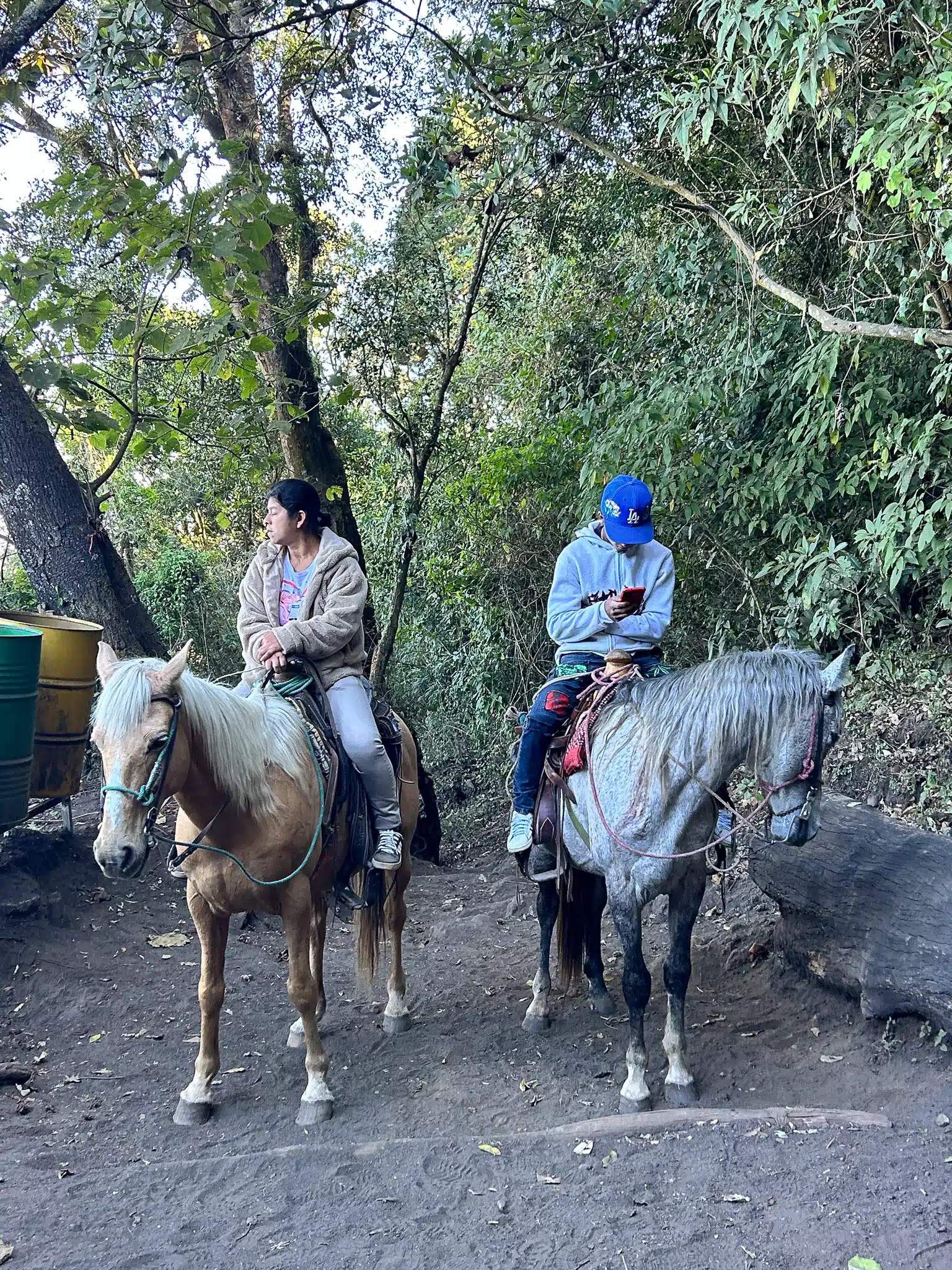 HorizonHugo Guatemala Pacaya 02