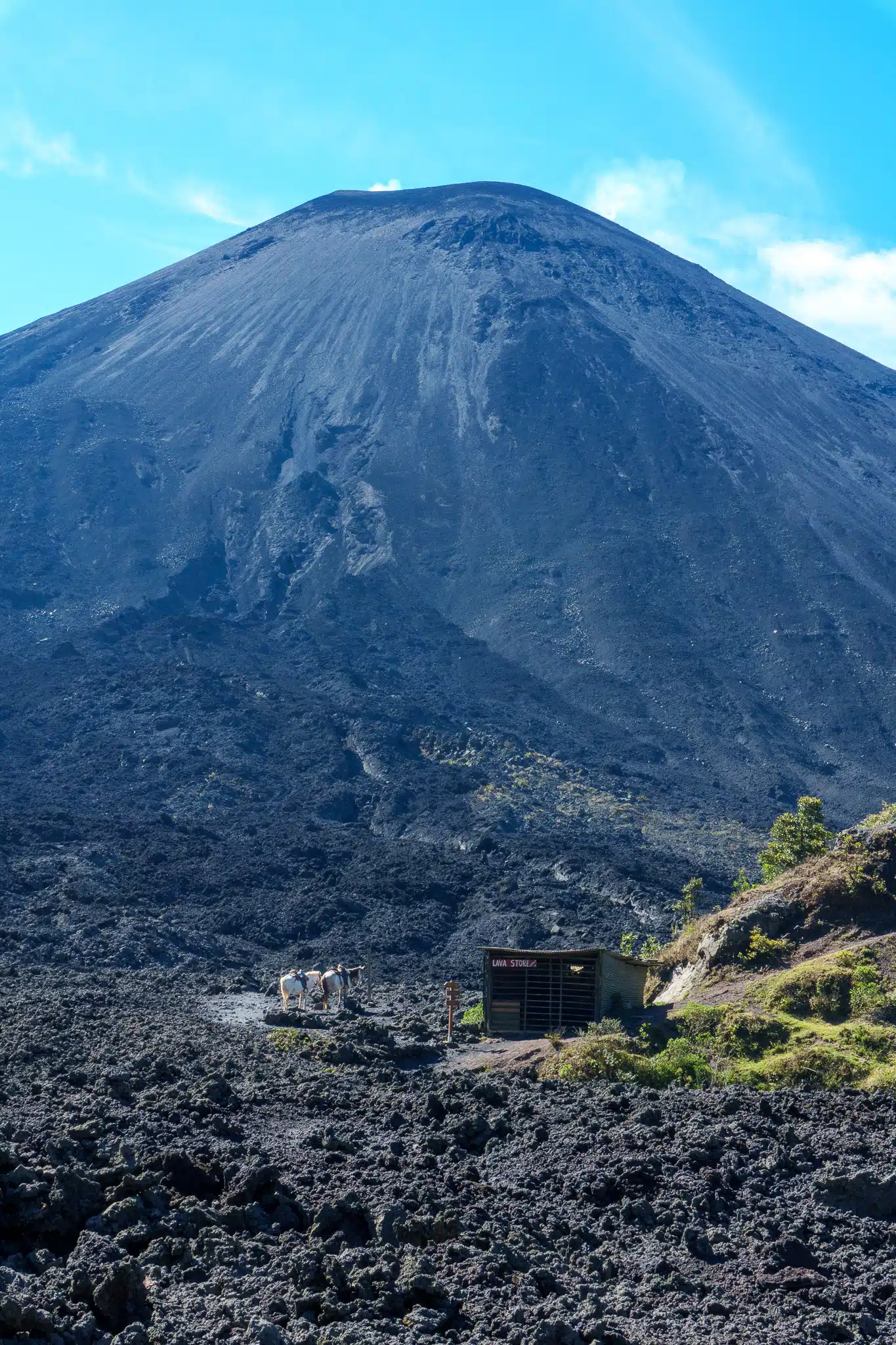 HorizonHugo Guatemala Pacaya 26