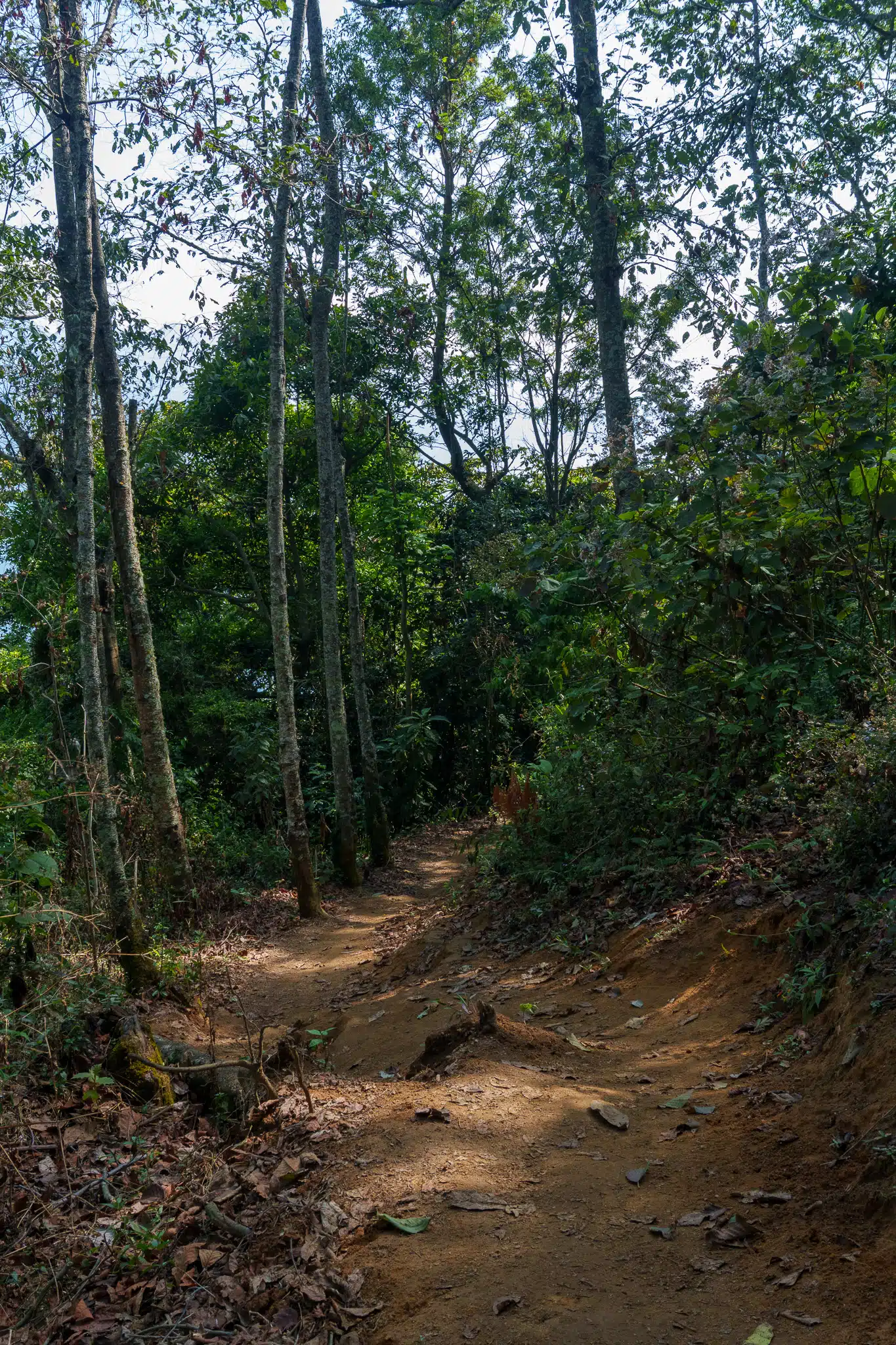 HorizonHugo Guatemala San Pedro Volcan 01