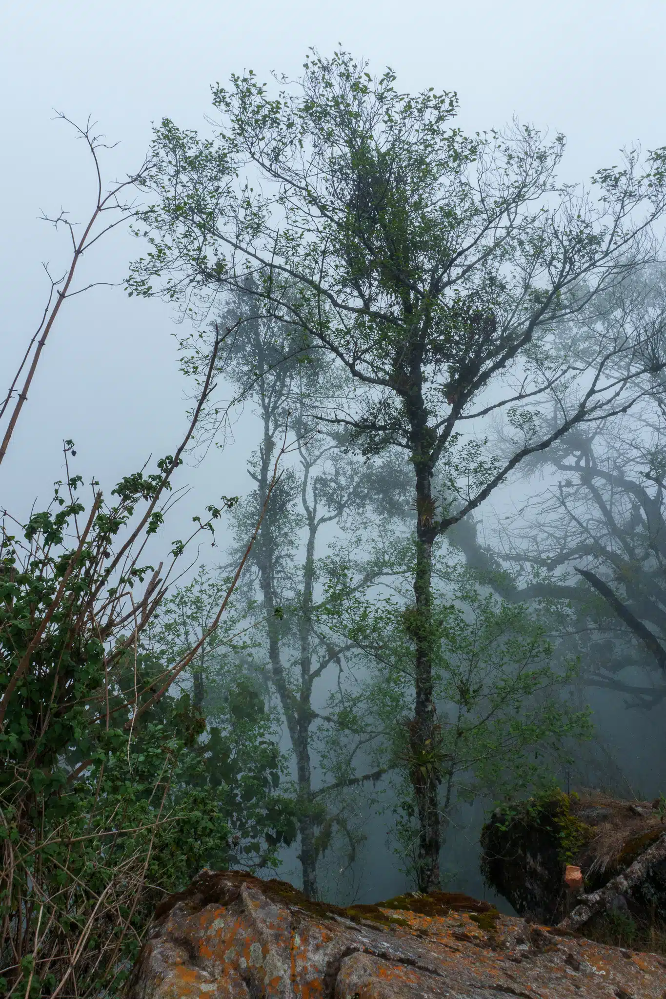 HorizonHugo Guatemala San Pedro Volcan 13