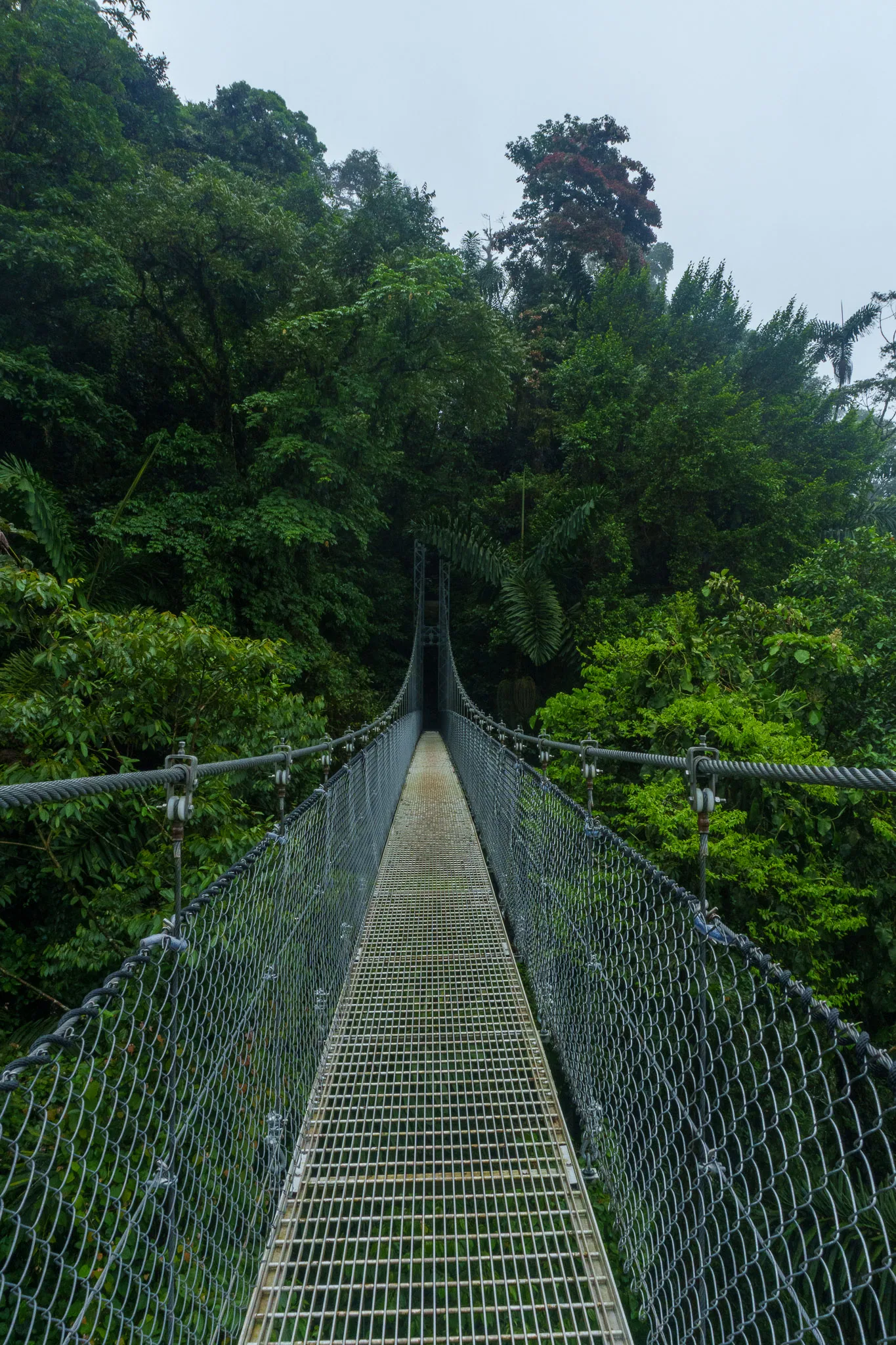 Hanging bridge at mistico park near la fortuna in Costa Rica.