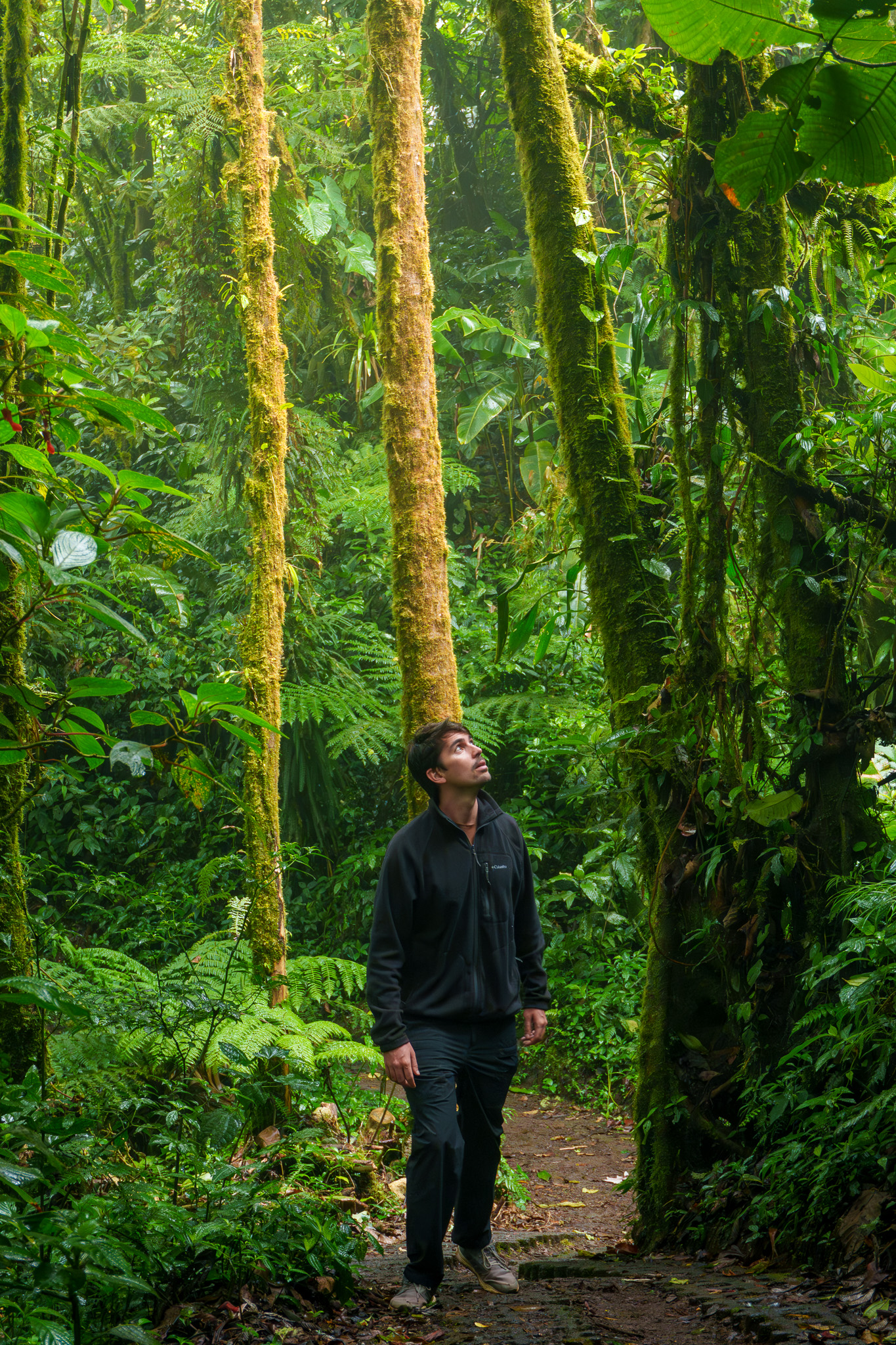 me (horizonhugo) walking in a rainforest forest park in costa rica