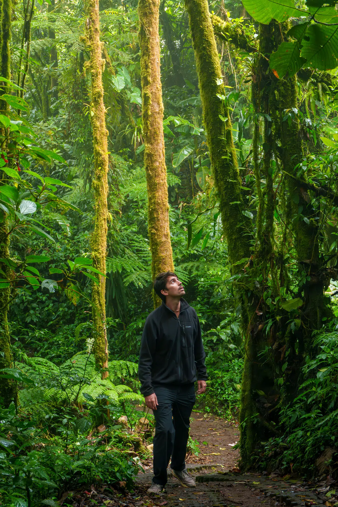 me (horizonhugo) walking in a rainforest forest park in costa rica