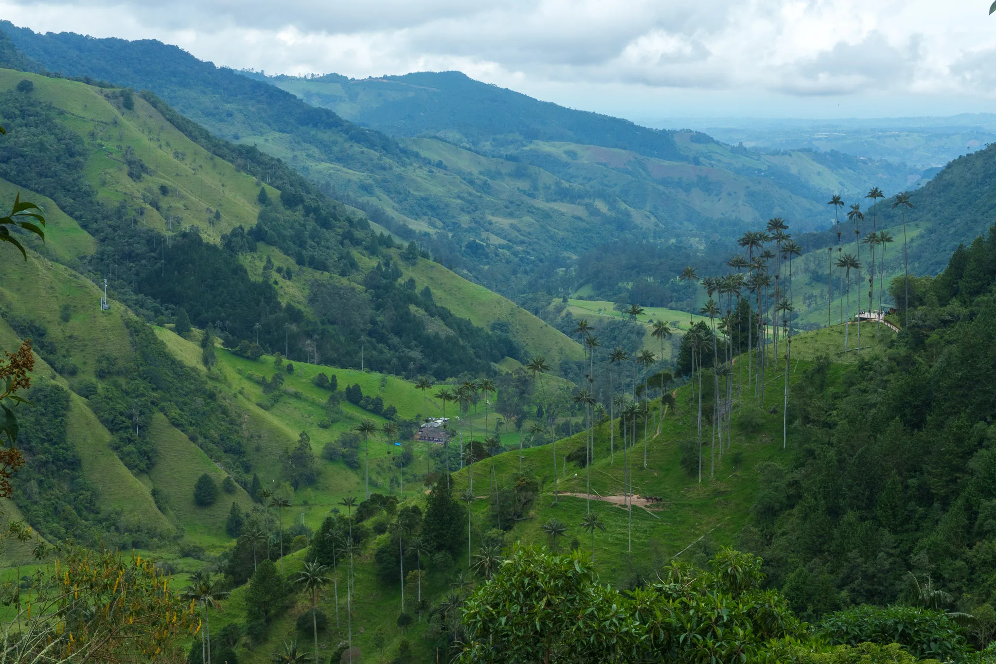 Aerial view of Cocora Valley in Salento, Colombia