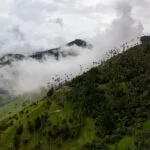 aerial view of the cocora valley, Salento - Colombia