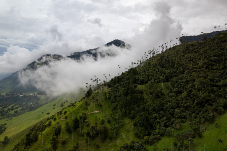 aerial view of the cocora valley, Salento - Colombia