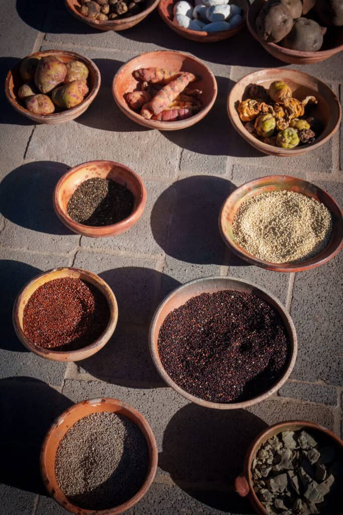 some of the many food peruvian people in the andean mountain are eating. here we see variety of quinoa and potatoes