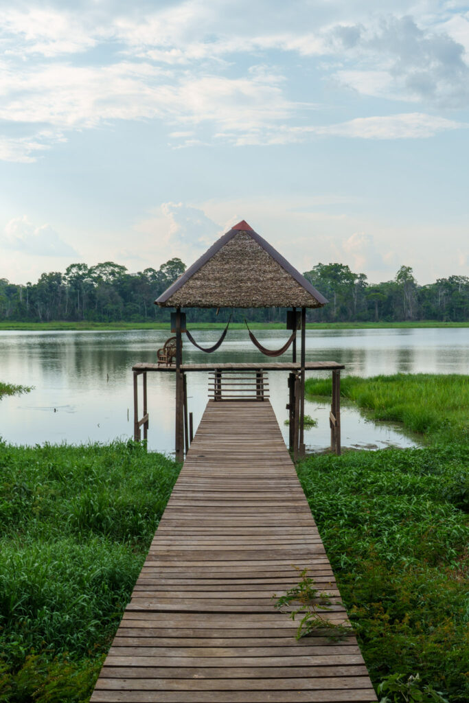 pontoon at sustainalbe bolivia site facing the san jose lake, surrounded by the amazon rainforest in Bolivia.