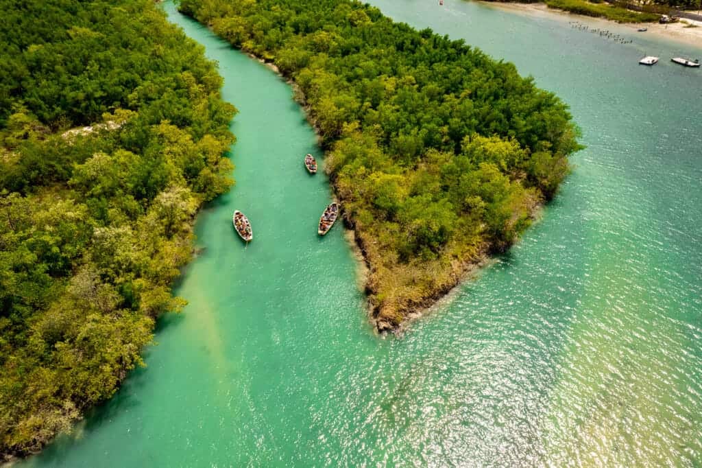Aerial view of tourist on small boat looking for crabs and marine life at the end of the river. This is an option tour during the quad tour.
