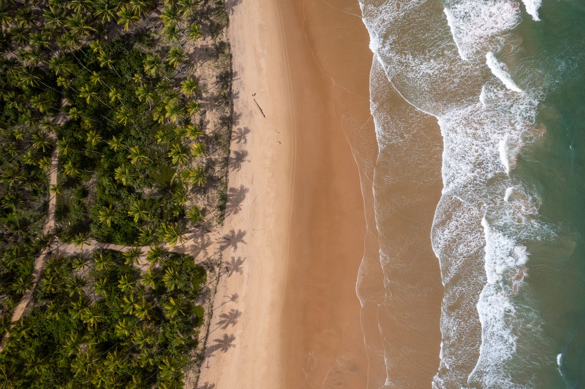 Taipu de fora beach from above. there is palm trees, yellow sand and turquoise water.