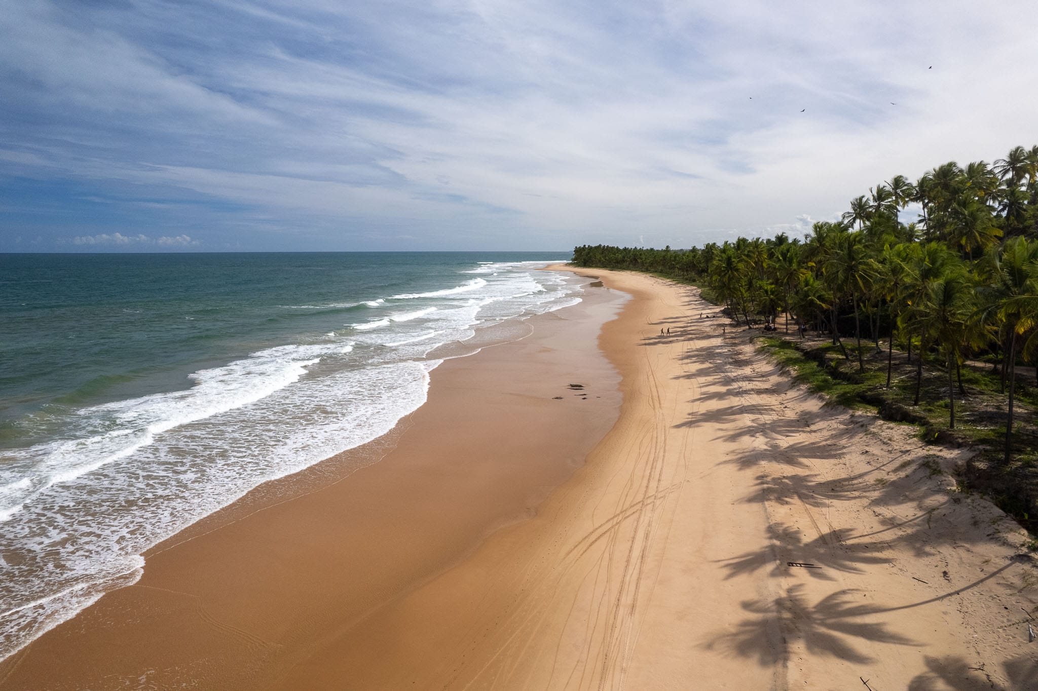 aerial view of Taipu de fora beach. there is nobody on the beach, while there are pal mtrees, beautiufl sand and turquoise sea.