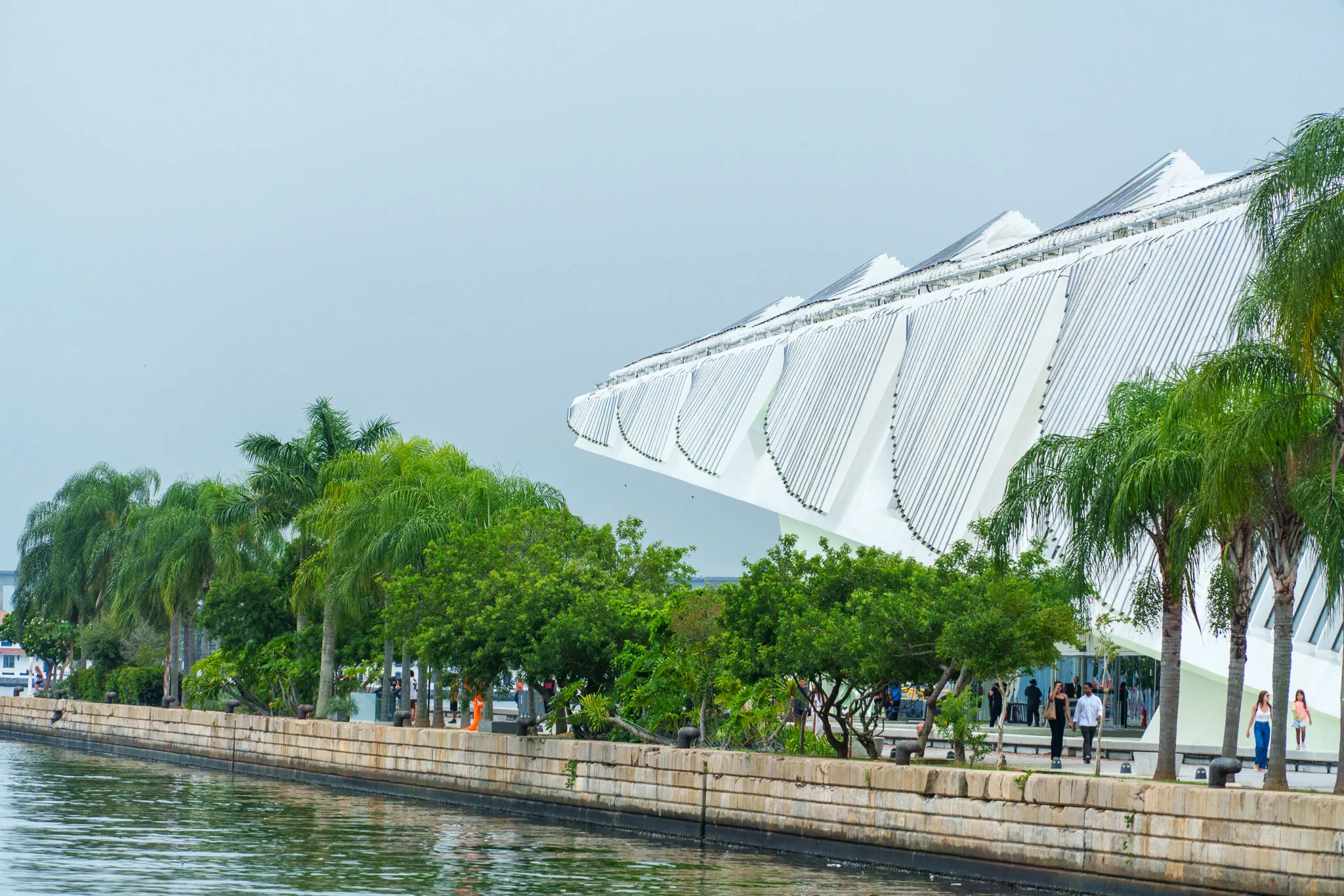 side view of the 