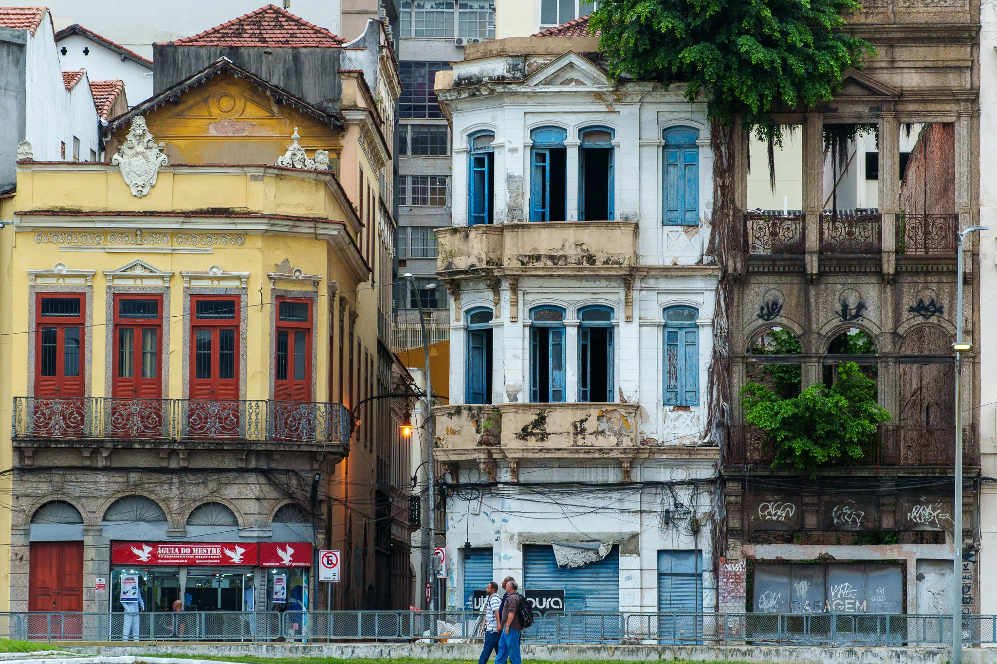 old abandonned buildings in the center of Rio de janeiro, Brazil. there are trees growing inside the building, a white old colonial building and a yellow building.