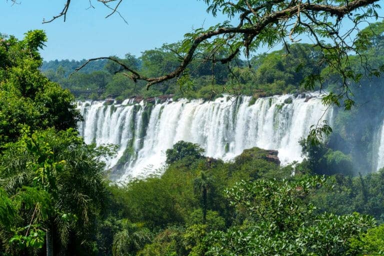 Iguazu falls view during a walk on the argentinian side.