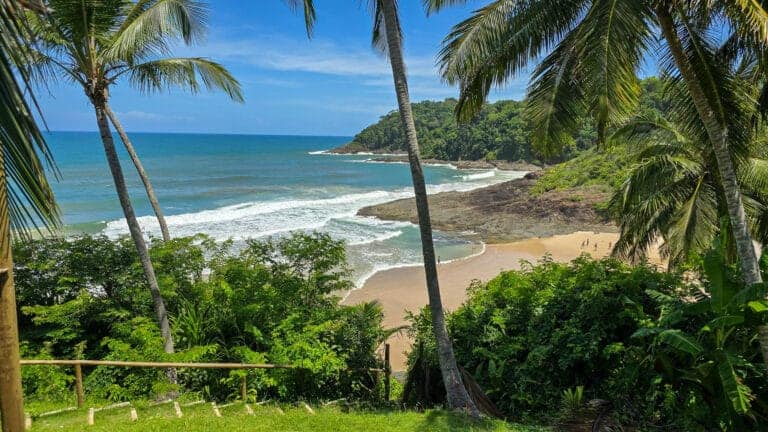 view of praia da costa in Itacaré Brazil. there are palms tree, green grass, waves and blue sky.