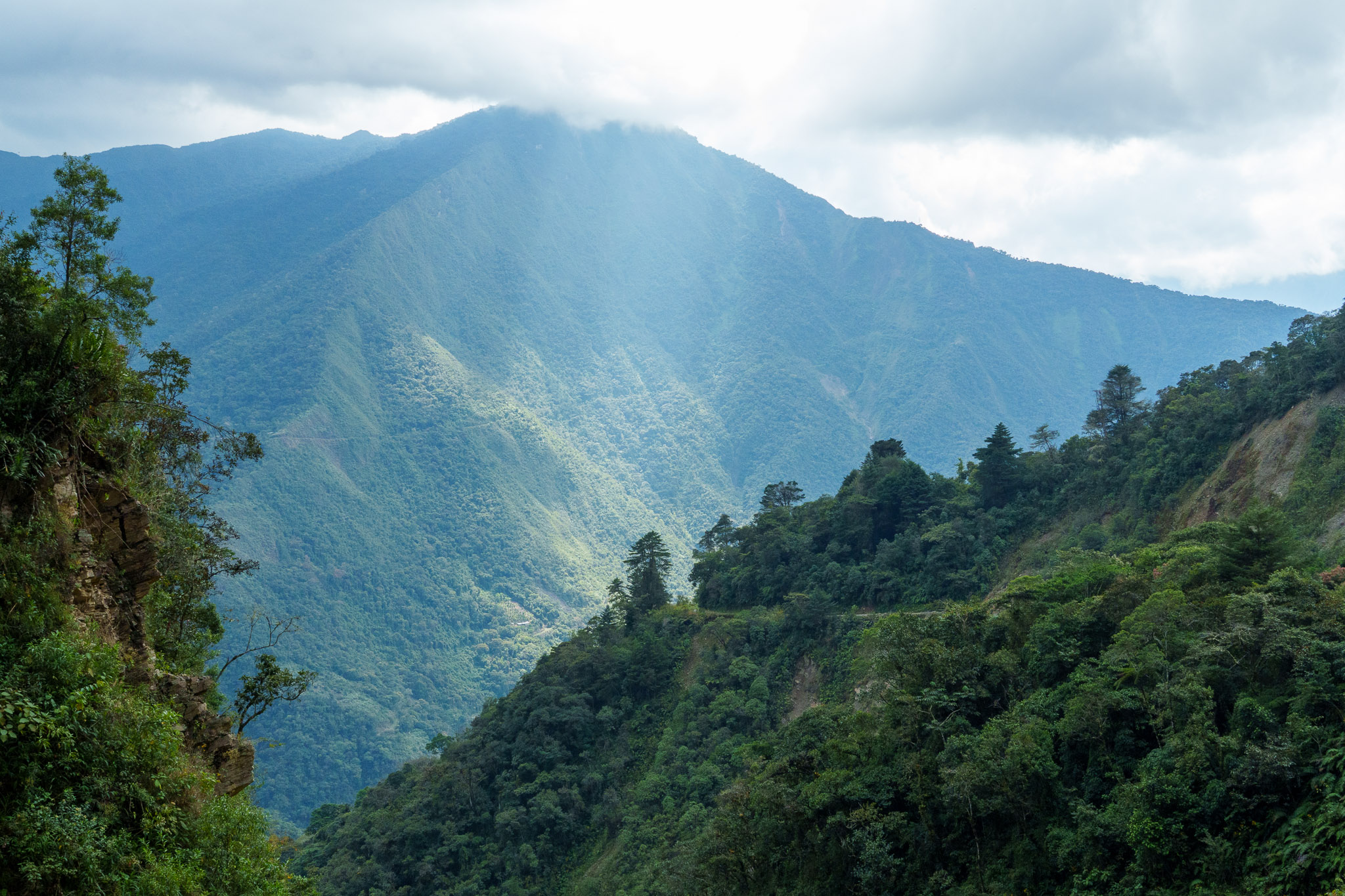 Death Road valley with trees everywhere on the mountains. There is a bit of light coming out betweens the clouds that creates a mystic ambient.