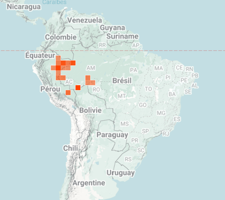 iNaturalist map of where the Cebuella Niveiventris monkeys have been spotted in central and South America.