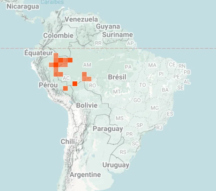 iNaturalist map of where the Cebuella Niveiventris monkeys have been spotted in central and South America.