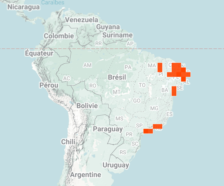iNaturalist map of where Marmoset monkeys have been spotted in central and South America.