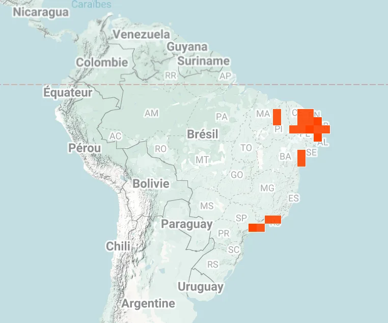 iNaturalist map of where Marmoset monkeys have been spotted in central and South America.