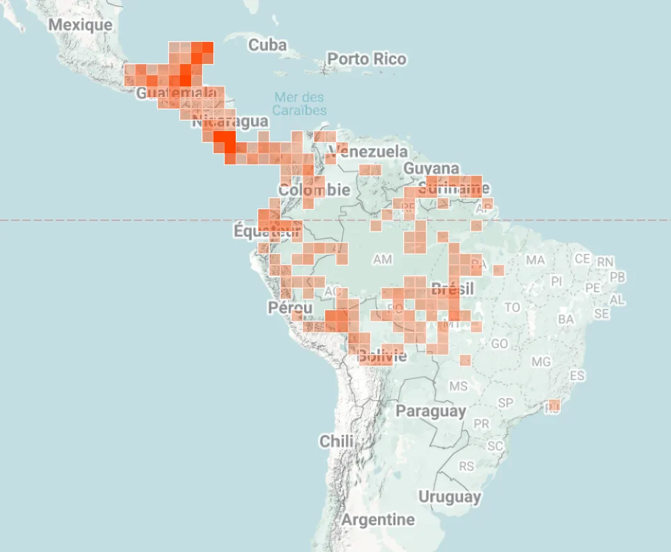 iNaturalist map of where Spider monkeys have been spotted in central and South America.