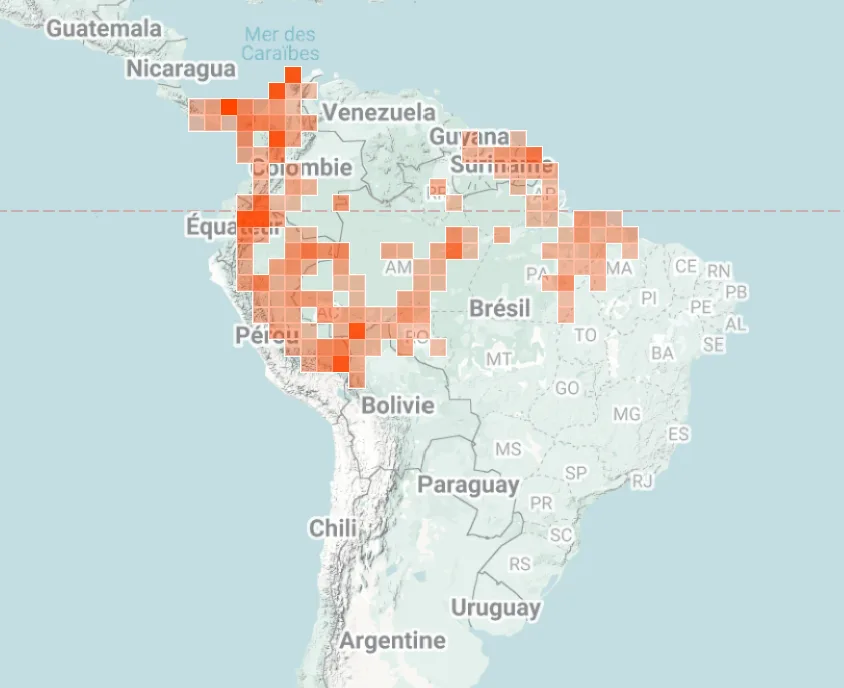 iNaturalist map of where Tamarins monkeys have been spotted in central and South America.