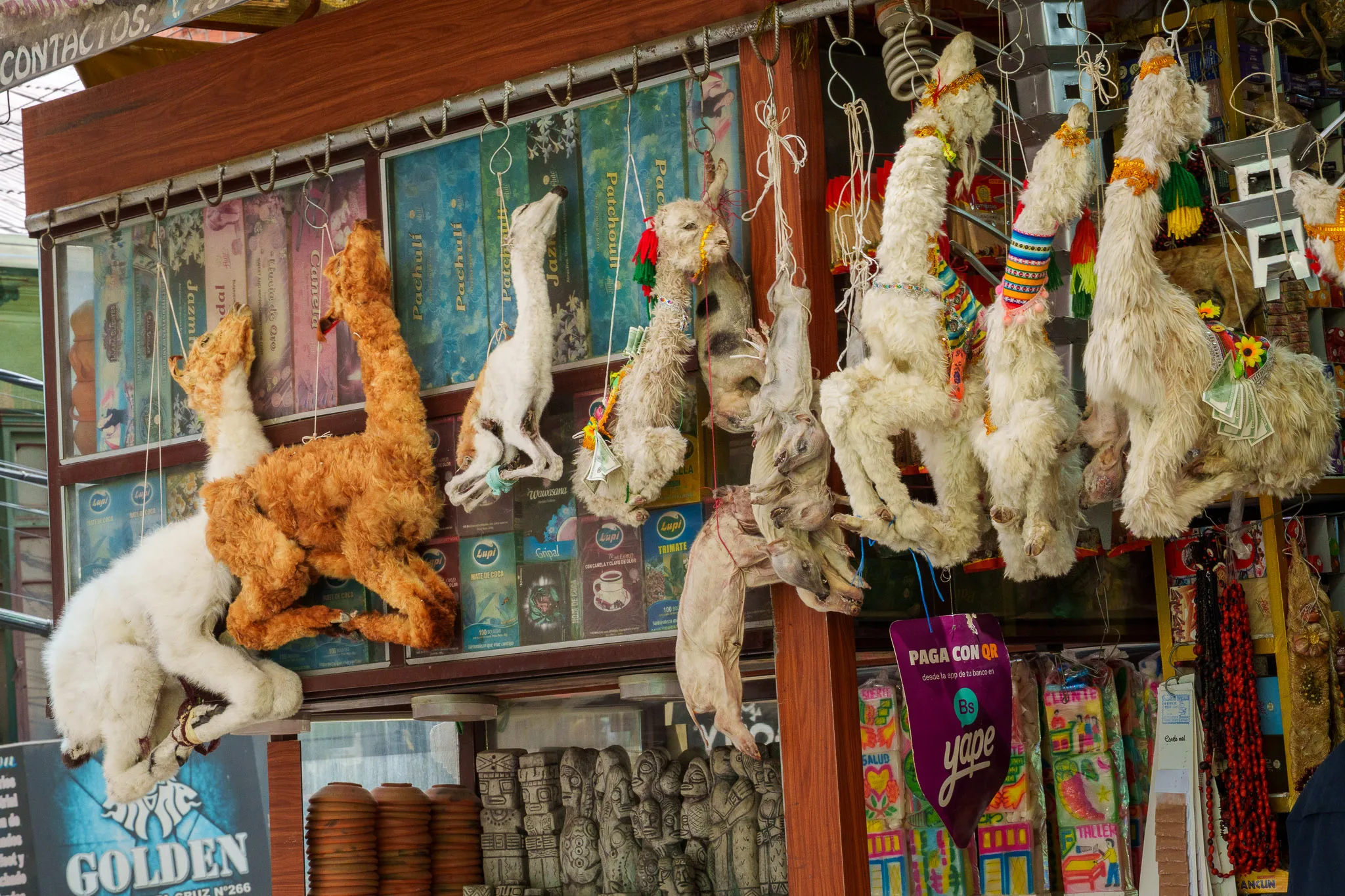 Foetus or baby dead llamas hanging on a wall in the witches market in La Paz, Bolivia.