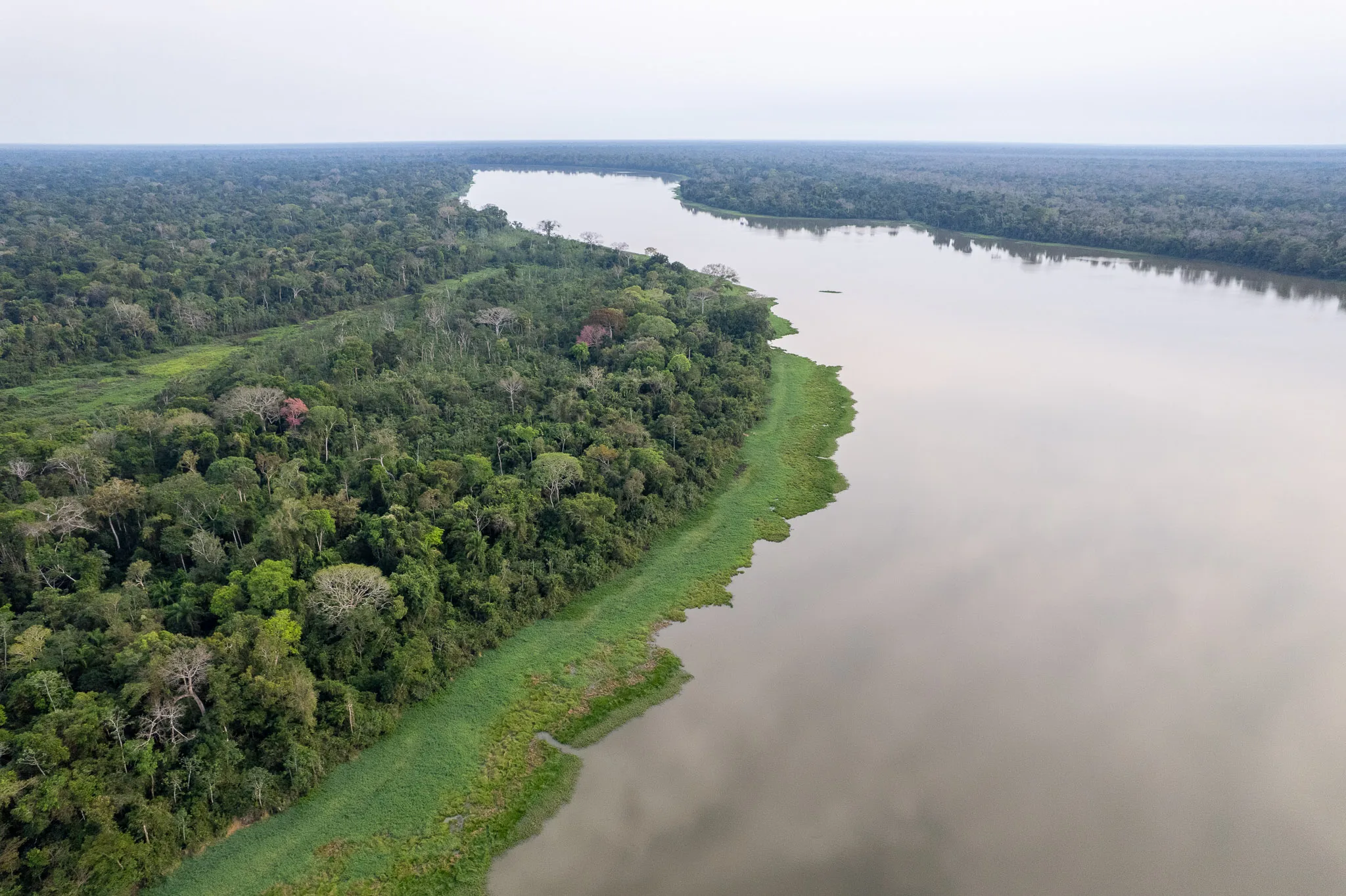 Drone view of a lake near Riberalta and the Amazin Rainforest.