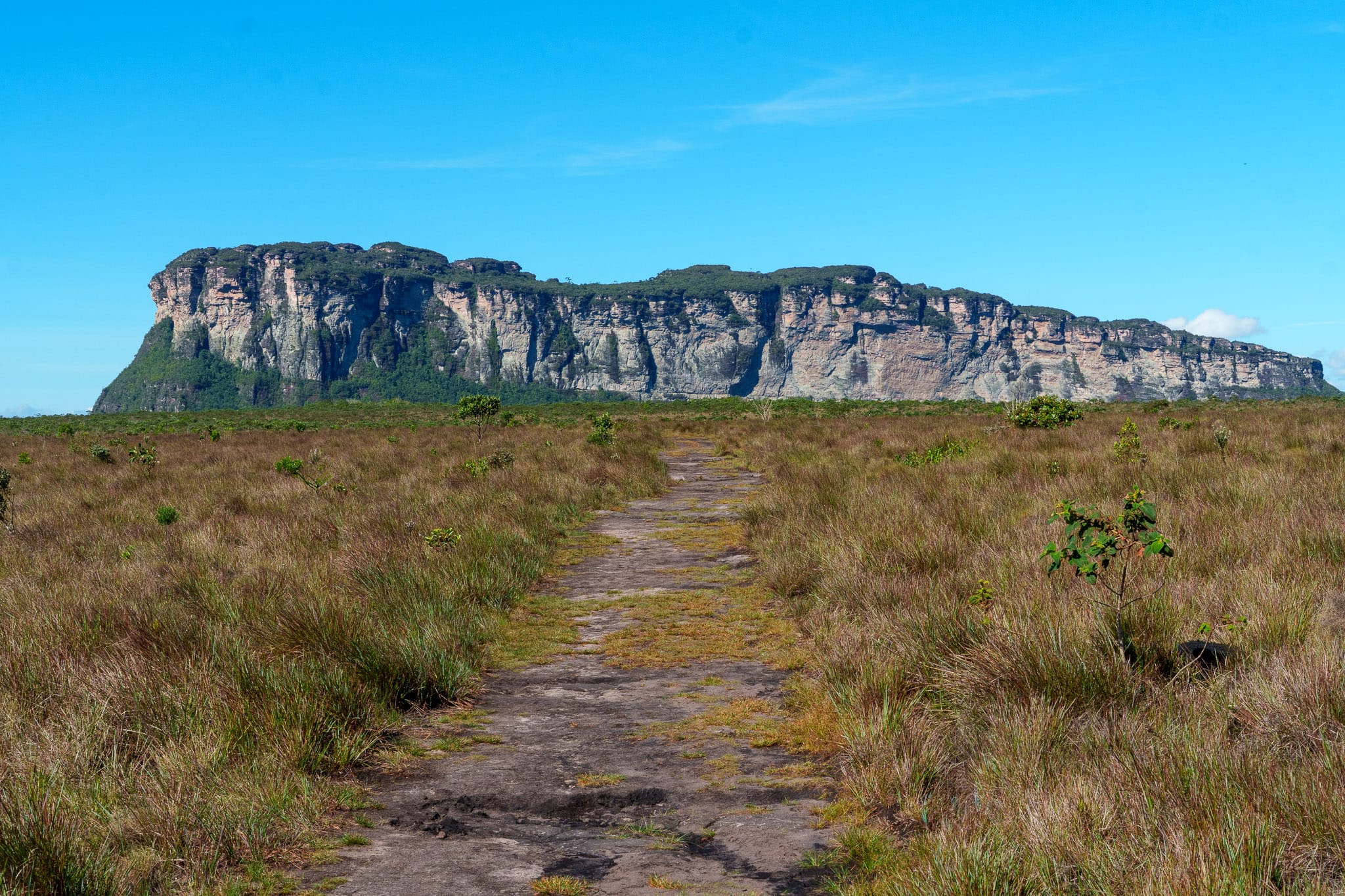 Compressed view of the plateau walk on the Pati Valley, with the canyon in the background, Bahia, Brazil.