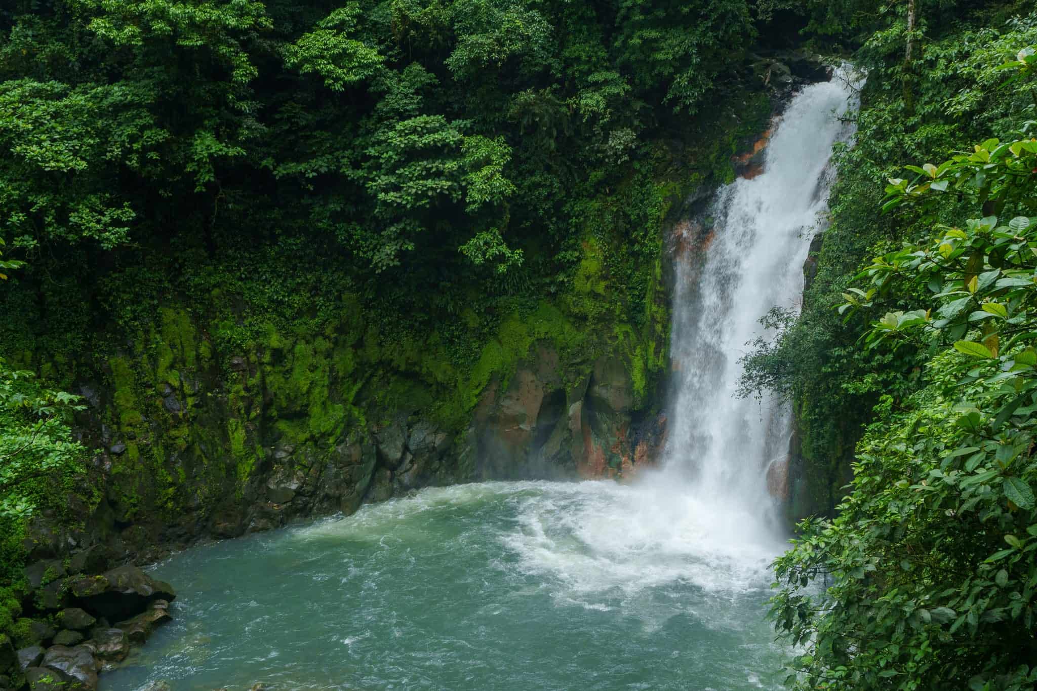 Rio Celeste Costa Rica: Cómo Hacer la Ruta del Río Azul