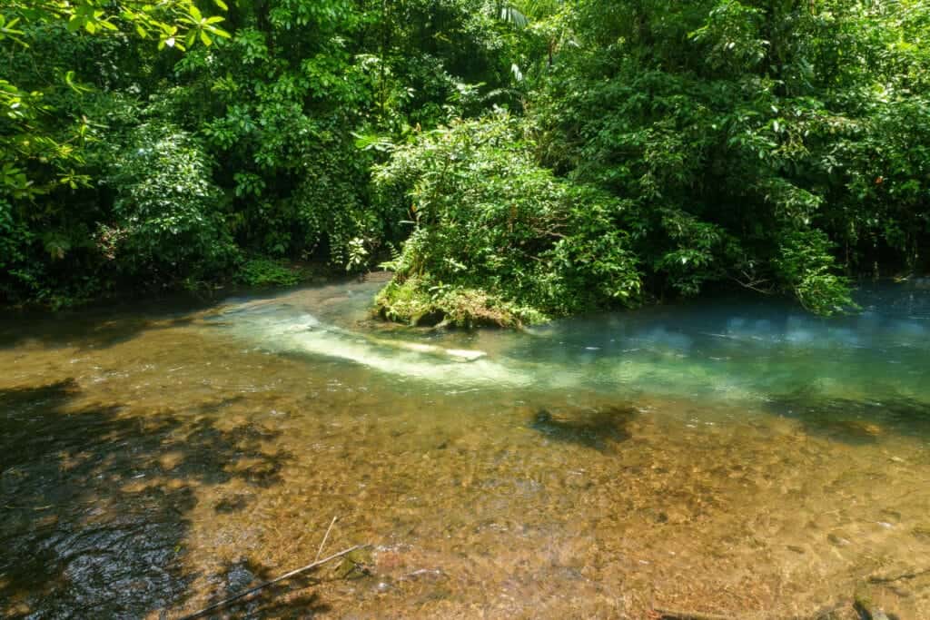 Crystal water of the Rio Celeste inside the National Park Tenorio.