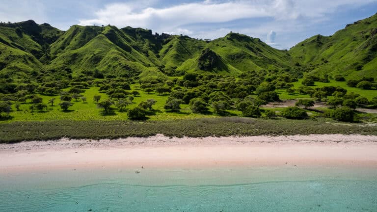 HorizonHugo - Indonesia - Pink Beach-4