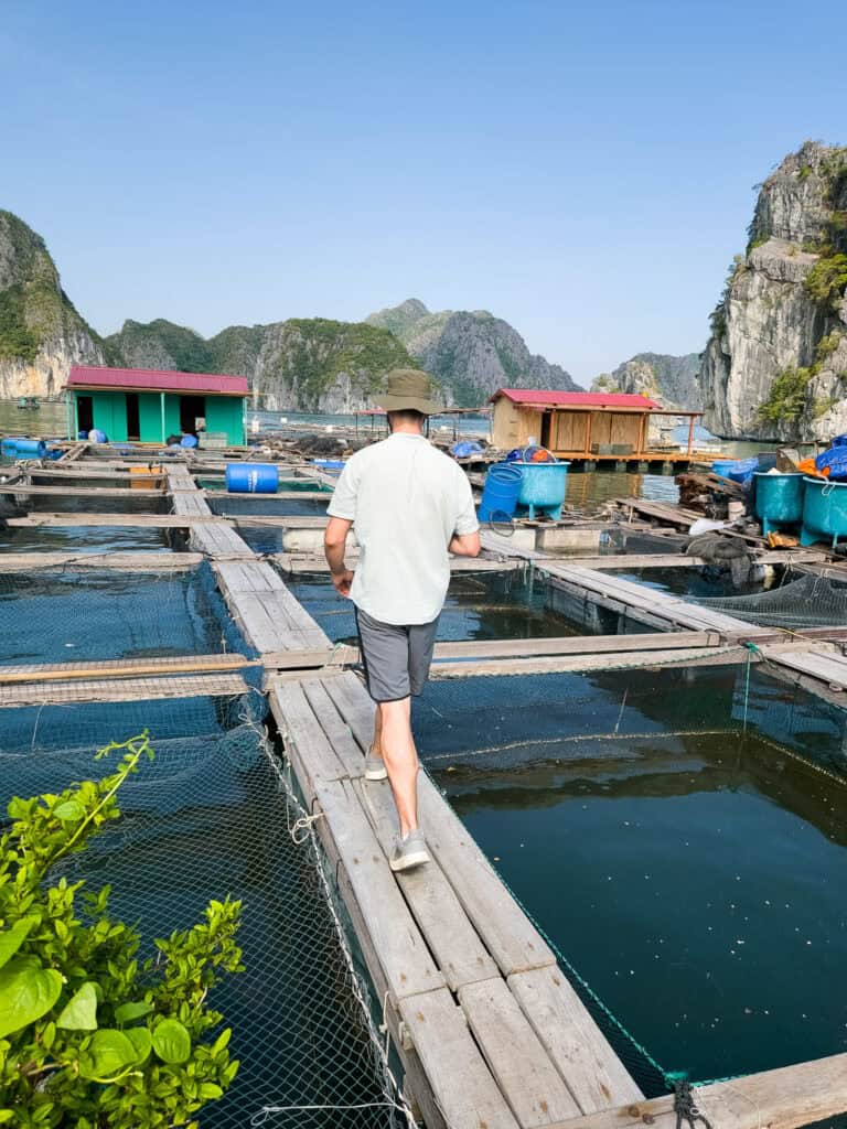 A person wearing a hat walks on wooden planks over fish ponds at a floating fish farm in Cat Ba, with green mountains and blue sky in the background.