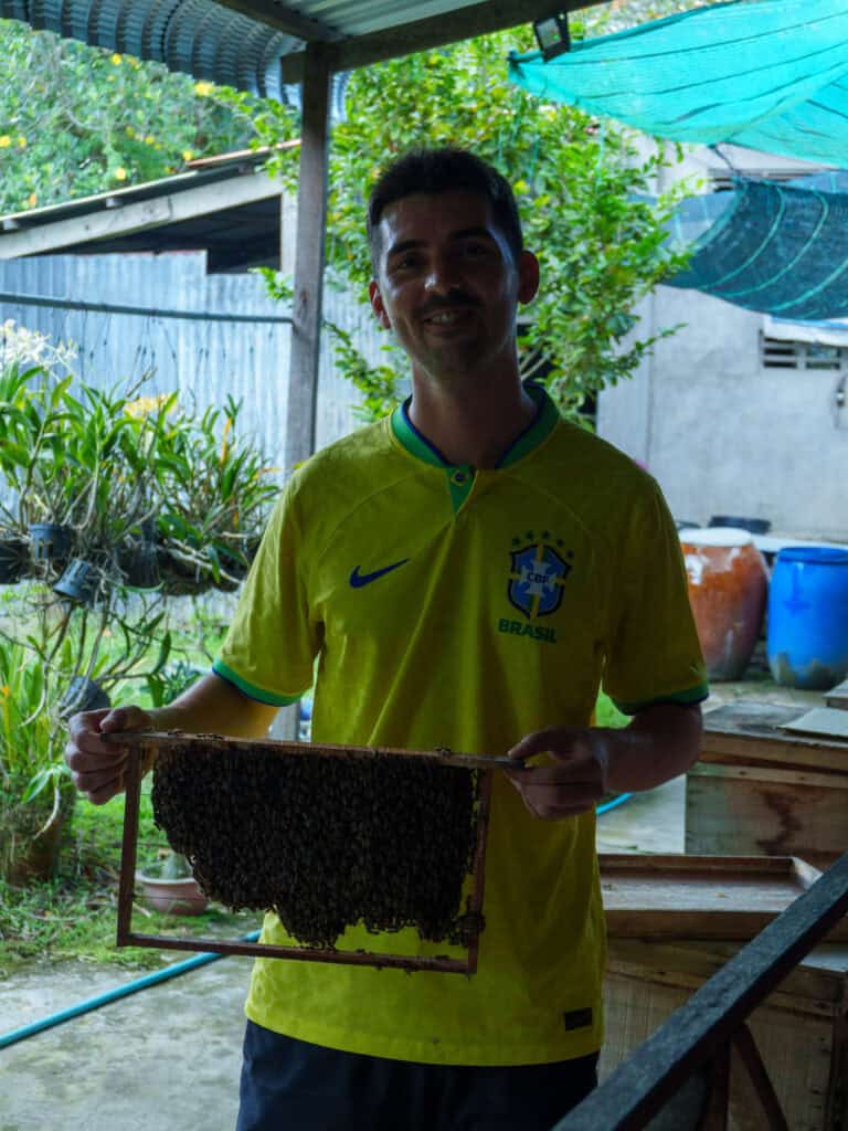 A man in a yellow Brazil soccer jersey holds a wooden bee frame covered with bees, standing in an outdoor area with plants and various containers around him—reminiscent of the vibrant local life you might encounter on a Vietnam Cambodia tour from Ho Chi Minh to Phnom Penh.