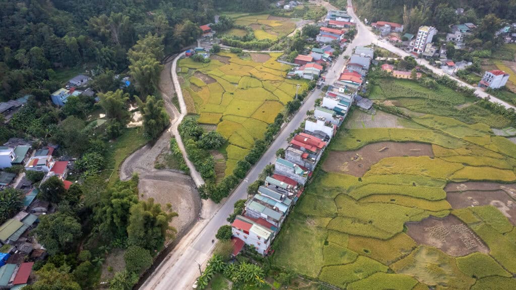 Aerial view of a rural village along the famous Ha Giang Loop, with houses lined along a road, surrounded by yellow-green rice fields and patches of trees.