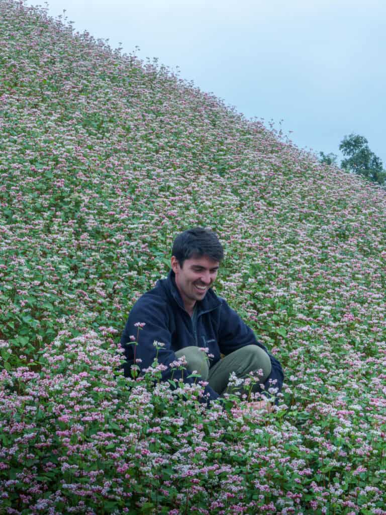 A man sits cross-legged, smiling and looking down, surrounded by a dense field of small pink and white flowers on a hillside under a cloudy sky.