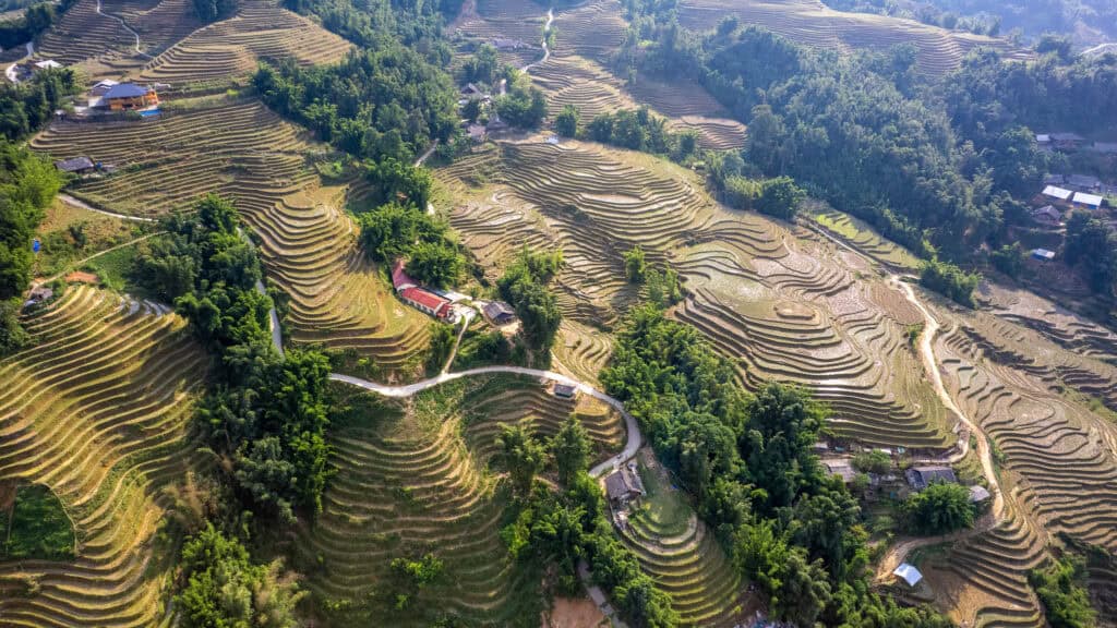 Aerial view of lush, green terraced rice fields in Sapa, Vietnam, with scattered houses and winding roads, surrounded by dense forested areas and rolling hills under sunlight.